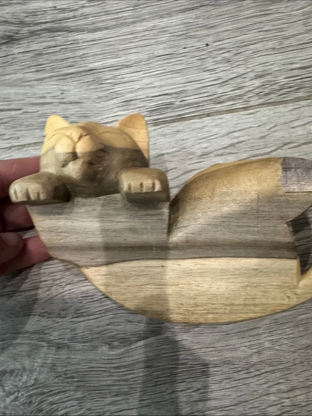 Cat Shelf sitter